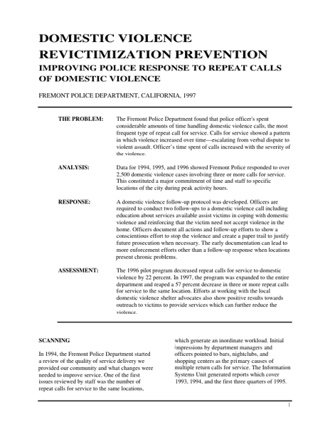 Domestic Violence Revictimization Prevention